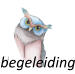 begeleiding