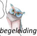 begeleiding